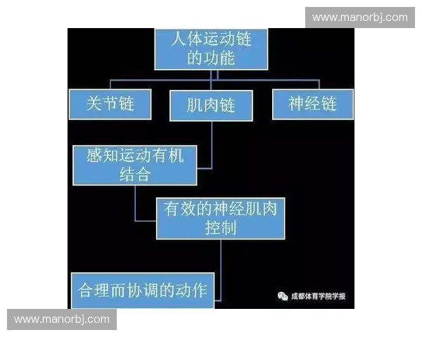 解析运动链反应在人体动作表现中的综合应用机制探索与训练优化策略研究 解析运动链反应在人体动作表现中的综合应用机制探索与训练优化策略研究