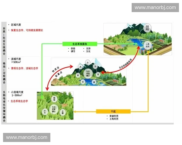 体育赛事区域品牌建设与发展策略研究与实践探索